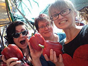 Giant Peppers